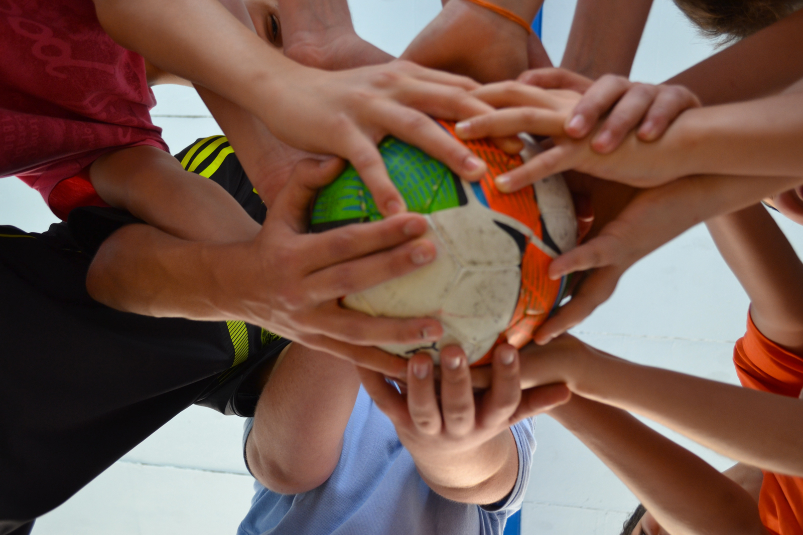 Reprise des entraînements 31 août 2026