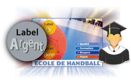 Label Argent pour l'école du handball à Fontenay saison 2012/2013