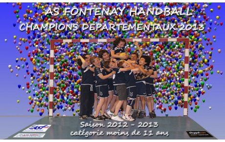Champions départementaux 2013 !